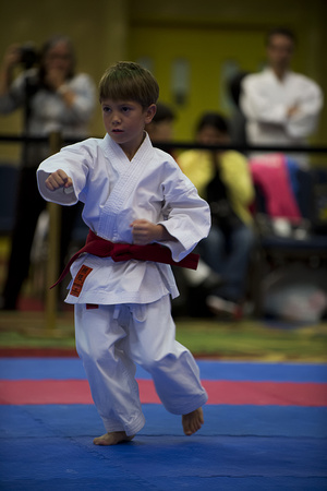USA Karate RM0001