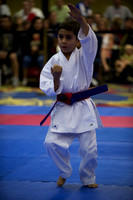 USA Karate RM0003