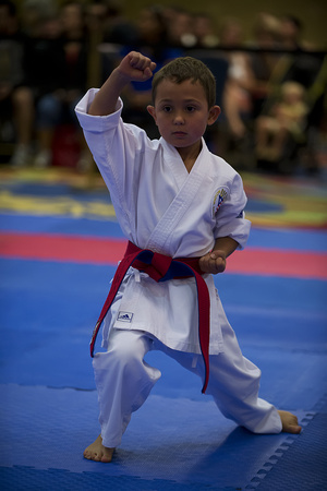 USA Karate RM0004