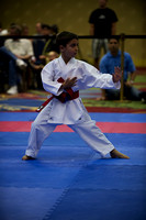 USA Karate RM0010