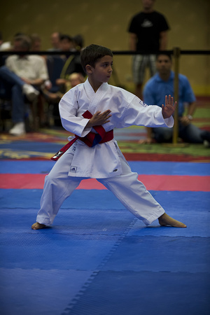 USA Karate RM0010