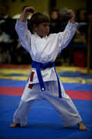USA Karate RM0008