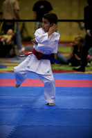 USA Karate RM0011