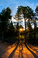 2020 Pikes Peak Cycling Hill Climb