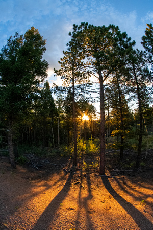 2020 Pikes Peak Cycling Hill Climb