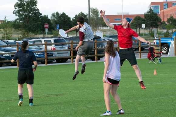 2019 RMSG Ultimate Frisbee