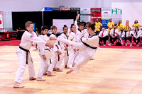 Taekwondo Demo Team